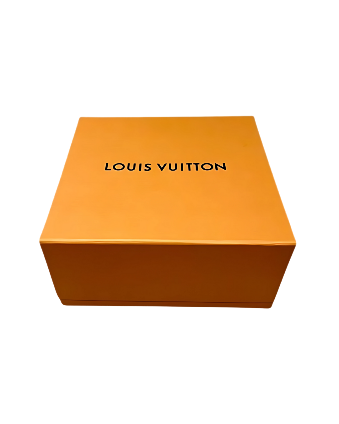 Louis Vuitton Trainer